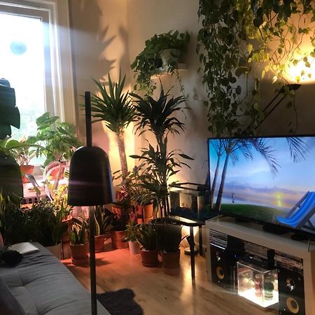 Urban Jungle Oasis In Queens! Apartment New York Bagian luar foto
