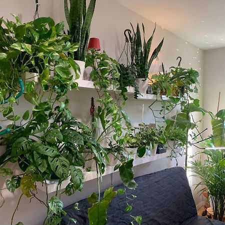 Urban Jungle Oasis In Queens! Apartment New York Bagian luar foto