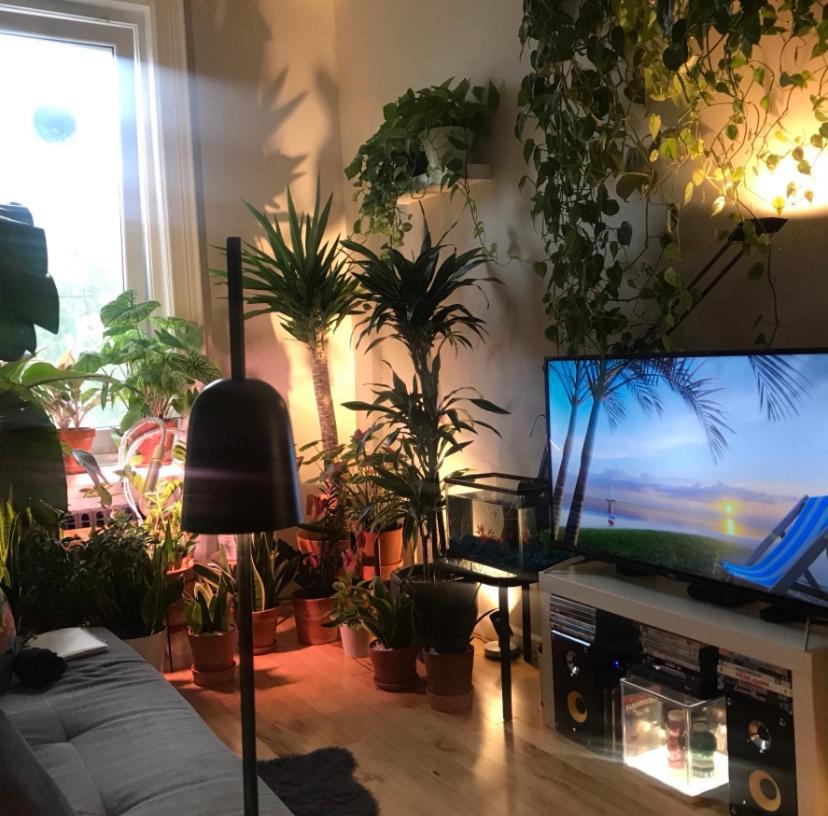 Urban Jungle Oasis In Queens! Apartment New York Bagian luar foto