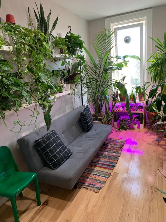 Urban Jungle Oasis In Queens! Apartment New York Bagian luar foto