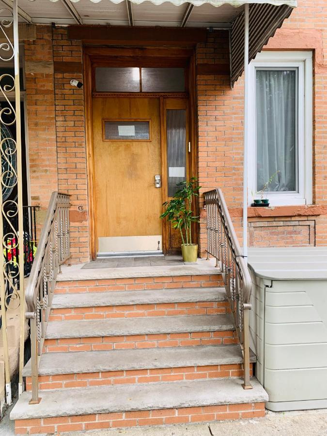 Urban Jungle Oasis In Queens! Apartment New York Bagian luar foto
