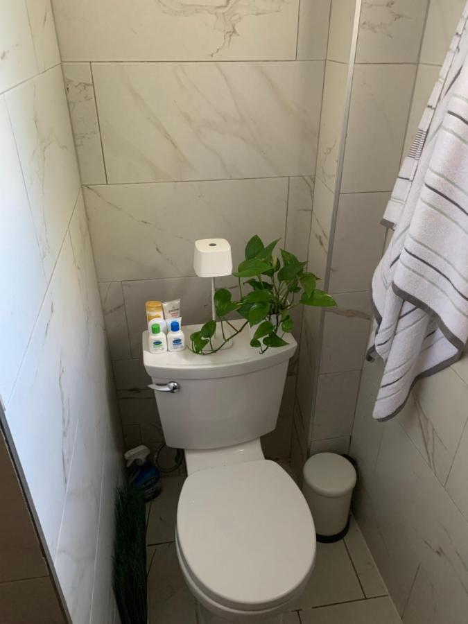 Urban Jungle Oasis In Queens! Apartment New York Bagian luar foto