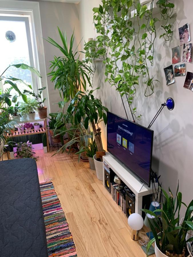 Urban Jungle Oasis In Queens! Apartment New York Bagian luar foto